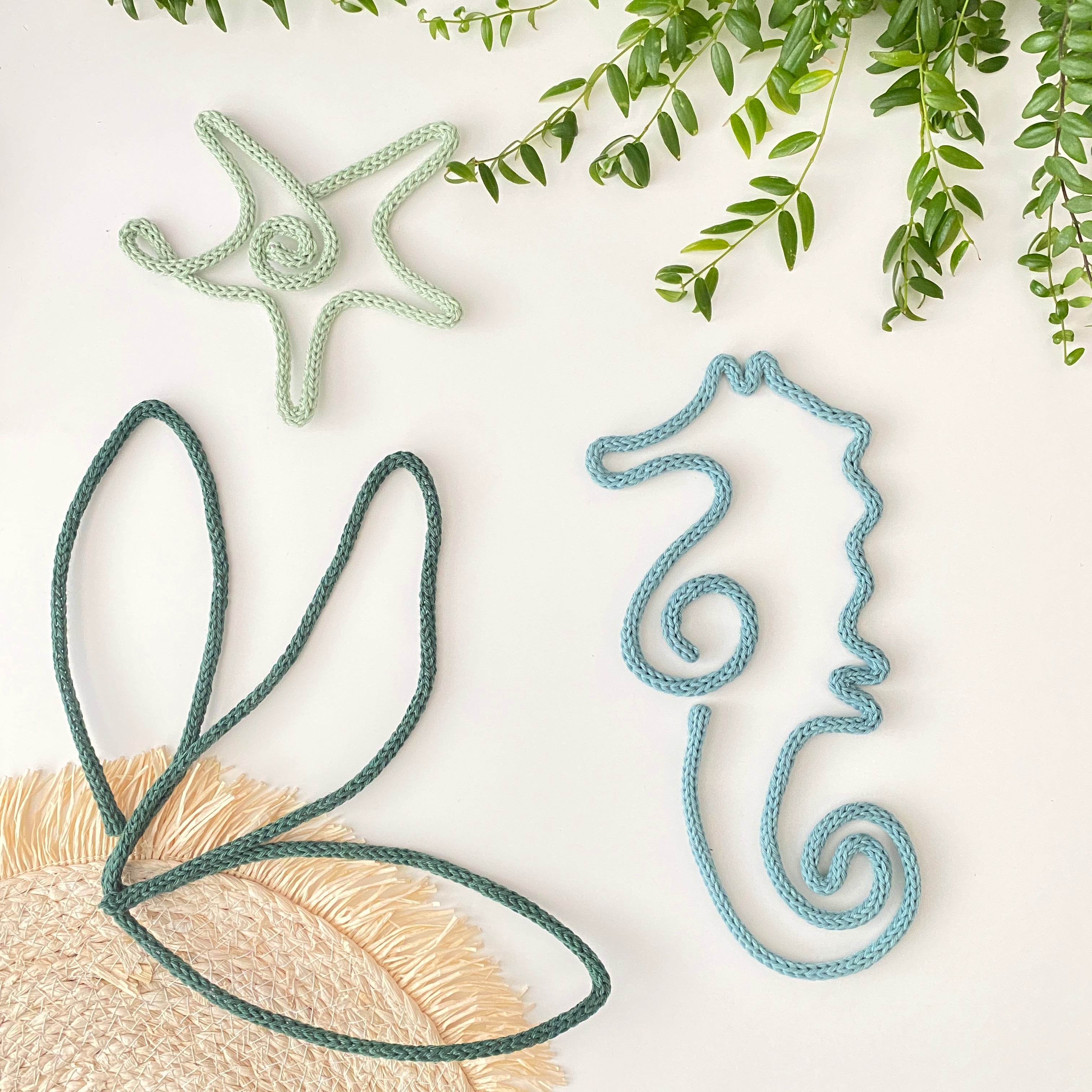 Zeester | Zeepaard | Algen