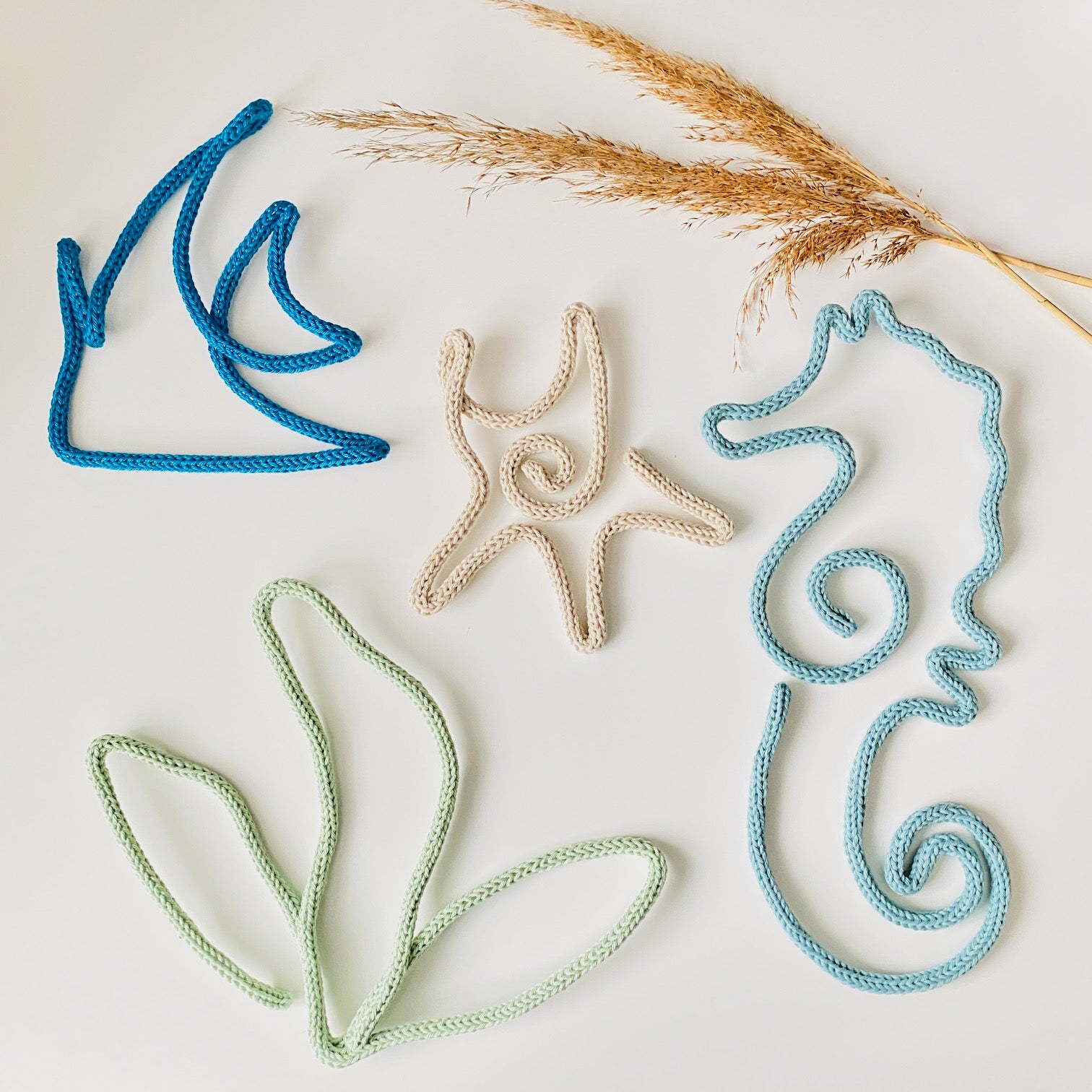 Zeester | Zeepaard | Algen