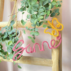 Naamhanger Vlinder